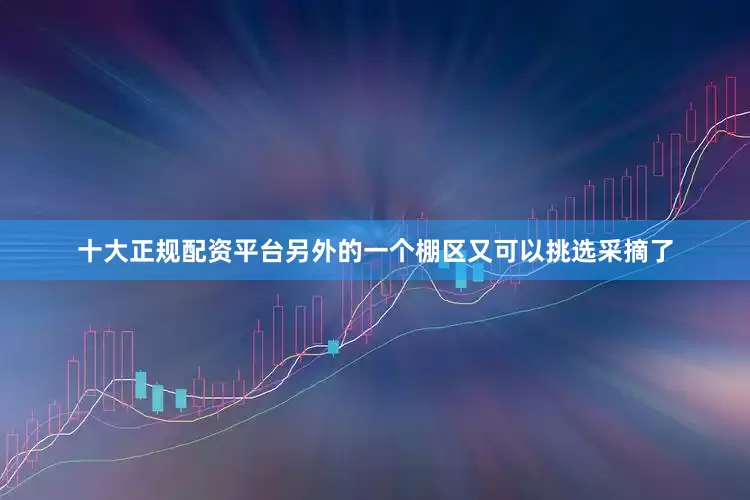 十大正规配资平台另外的一个棚区又可以挑选采摘了