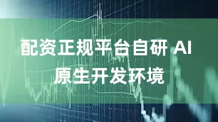配资正规平台自研 AI 原生开发环境